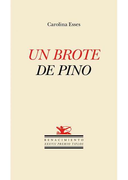 Un brote de pino